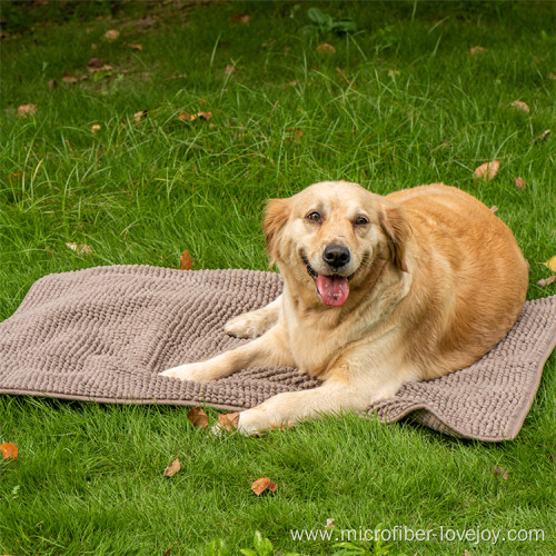 Clean and absorbent pet bath towels microfiber chenille